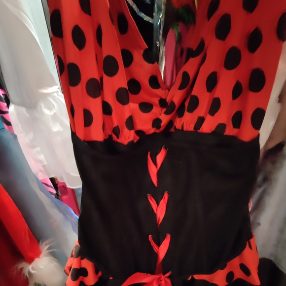 A ladybug Ladies costume - Picture 6 of 12